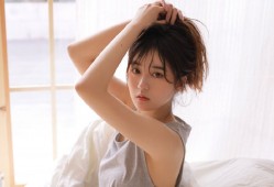 技术建站分类解析与应用指南