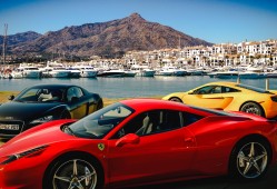 交易软件应用教程下载指南