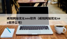 咸阳网站优化seo软件（咸阳网站优化seo软件公司）