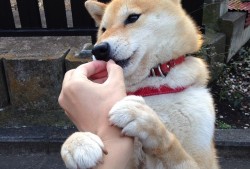 福州自助建站技术规范与实施标准