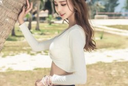 随州网站SEO优化与开发策略