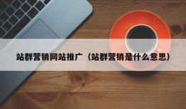 站群营销网站推广（站群营销是什么意思）
