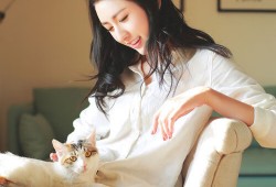 淘客技术建站：高效搭建推广平台的实用指南