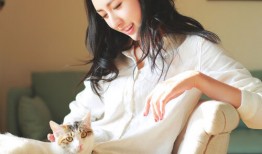 外贸推广网站优化SEO五大核心要素