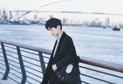 鹤壁专业SEO网站优化服务推荐