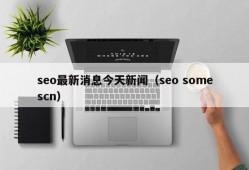 seo最新消息今天新闻（seo somescn）