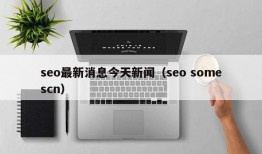 seo最新消息今天新闻（seo somescn）