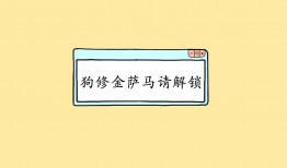 仲恺专业网络推广服务公司