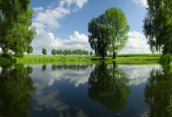 无需技术即可轻松搭建网站