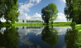 西安SEO优化网站提升排名技巧与实战指南