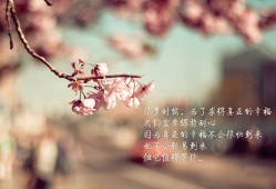 建站教程与指南教程的区别解析