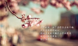 指南针云建站：轻松搭建您的在线站点