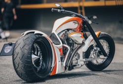 建站技术交流群：分享与学习的平台