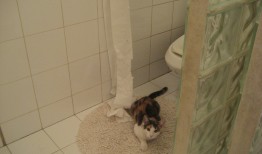 网站推广营销企业的策略与实践