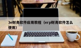3e财务软件应用教程（erp财务软件怎么使用）