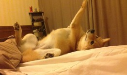 网站营销推广简历撰写技巧