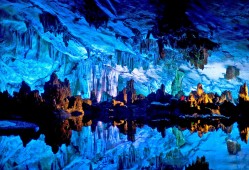 Flash建站技术的全面解析与应用指南