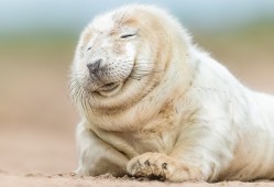 青岛专业建站技术优质服务