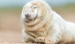 如何一步步搭建属于自己的网站