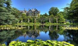 黄冈专业SEO优化公司推荐