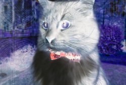 乐识通网站SEO优化提升可读性标题