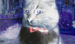 智慧树营销：在互联网络中的创新实践