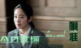 模板建站技术的高效应用与实践