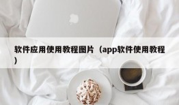 软件应用使用教程图片（app软件使用教程）