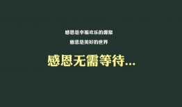 加油站建设与运营管理实用指南