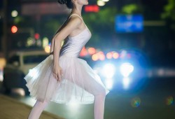 高效SEO网站优化平台助力提升搜索引擎排名