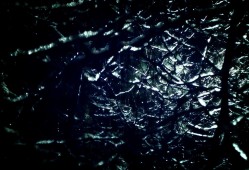 钦州技术建站客服联系电话