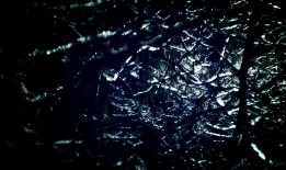 如何高效搭建网站：建站指南全面解析