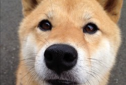 商丘SEO网站优化服务收费标准一览