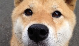 互联网的基本原则与核心理念