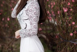 金华建站技术优化与应用新视角