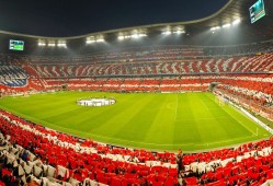 湛江高效快速建站技术解析