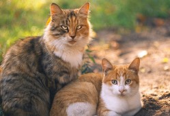 广州脑机互联技术发展新趋势