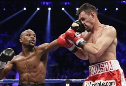 长清建站技术解析与应用指南