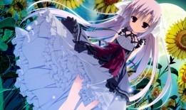 桂园网站推广与营销策略优化