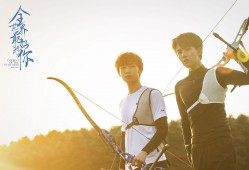 SEO网站排名优化的价格因服务内容、行业竞争和优化目标而异。