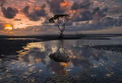 HTML5建站技术全面解析与应用指南