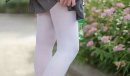 互联网络如何重塑我们的世界