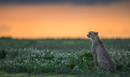 经济开发区网站SEO优化与推广策略