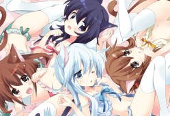 SEO搜索优化必备工具推荐指南