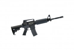 互联网络专家的主要类型与职责解析