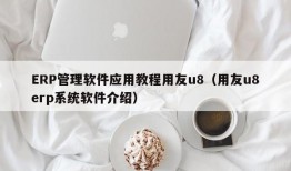 ERP管理软件应用教程用友u8（用友u8erp系统软件介绍）