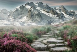 技术精湛的自助建站解决方案