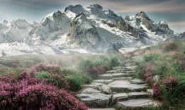 网站网络营销推广策略与实践指南