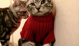 哈尔滨外贸网站营销推广策略与实践