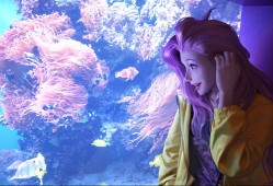 如何将长虹电视连接到网络实现互联